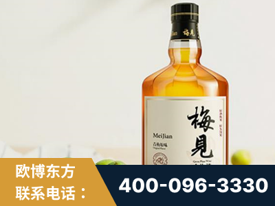 南平-梅见青梅酒